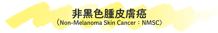 非黒色腫皮膚癌(Non-Melanoma Skin Cancer：NMSC)